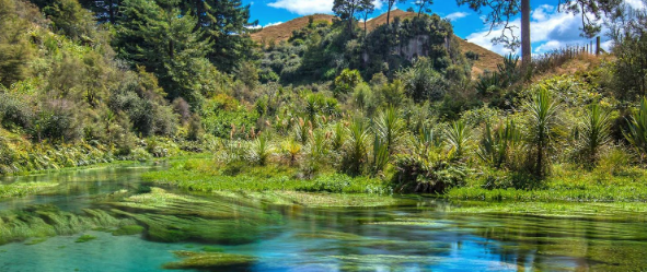 Waikato